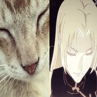 Profile image of Yuki Tsukumo