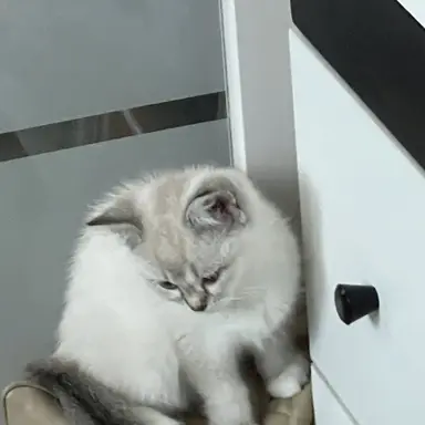 Profile image of L을 가져가