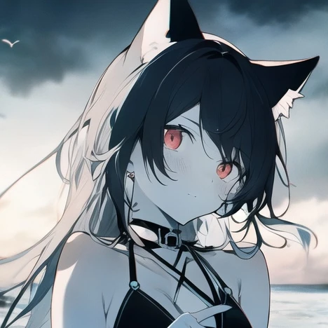 ラット