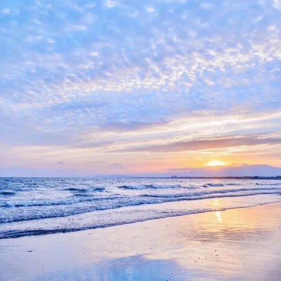 CleverLevel6069의 Testa 와여우들 [개인용]