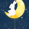 Profile image of TeSTAR