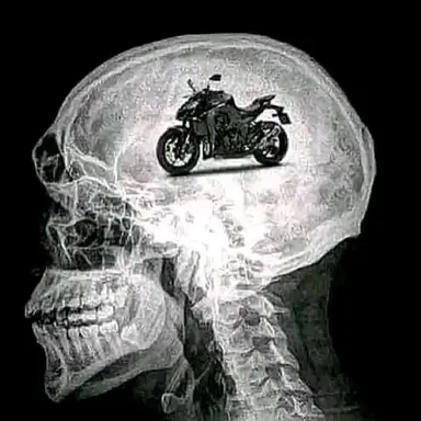 Profile image of RIDER