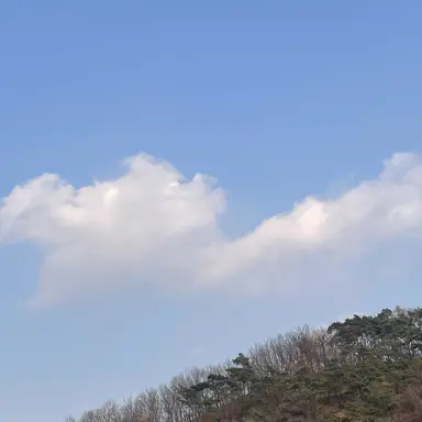 Profile image of 박잠뜰