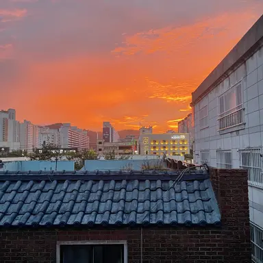 Profile image of 서라더