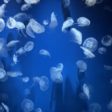 Profile image of タクヤ