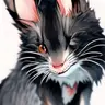 Profile image of 제타