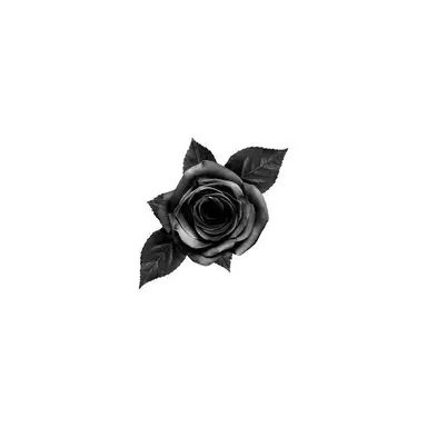 Profile image of ジャイボ