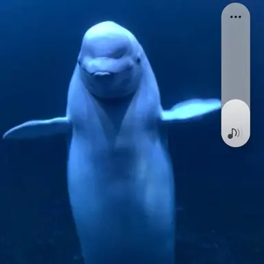 Profile image of 여수 아쿠아플라넷