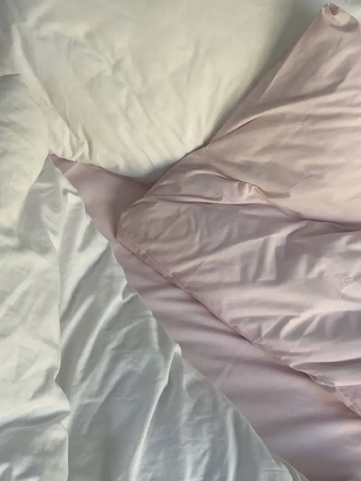 Allday_project의 ADP와 당신, 그리고 여우.