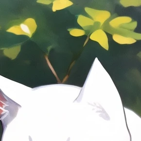 大筒木