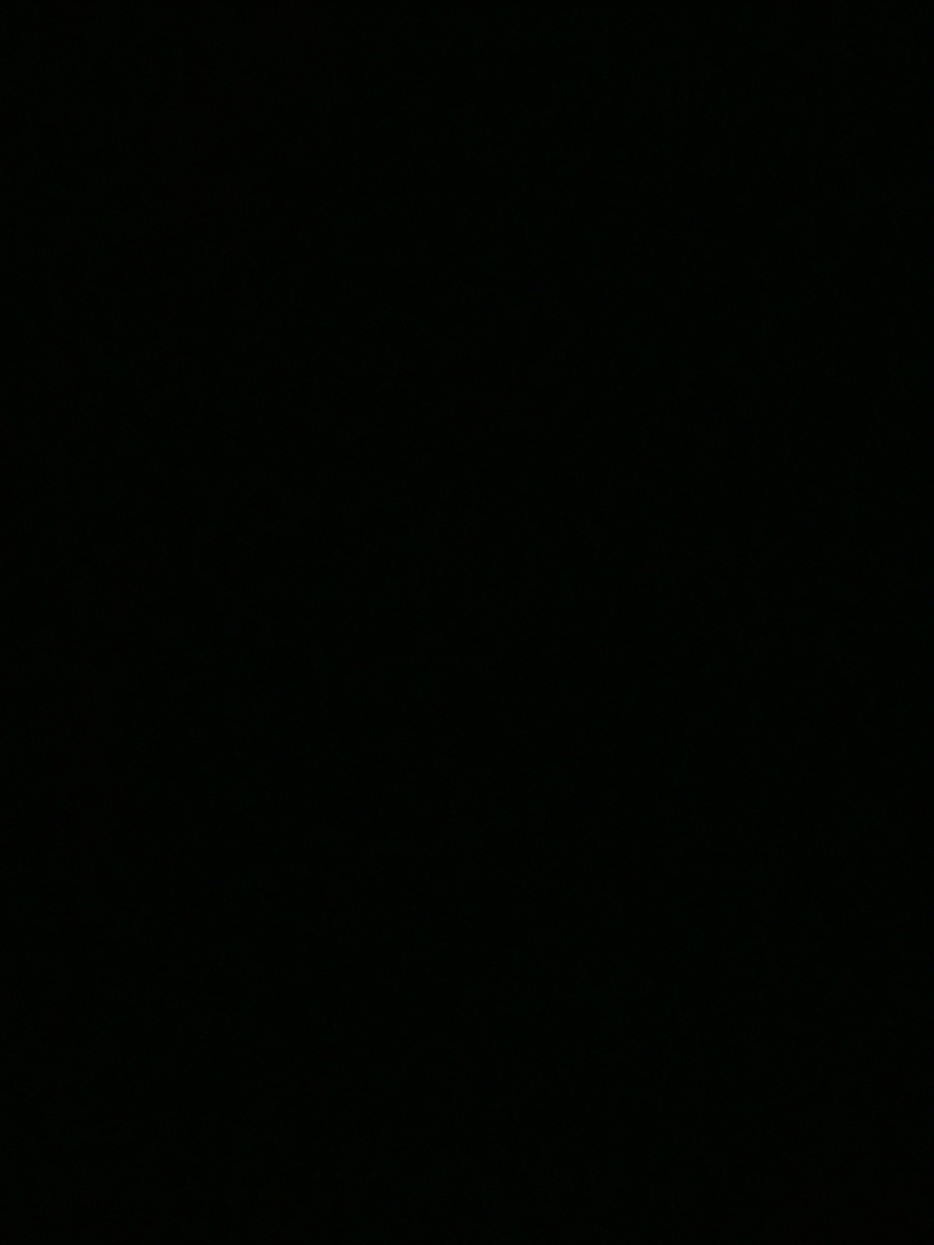 모여봐요 수인의 숲 대표 이미지