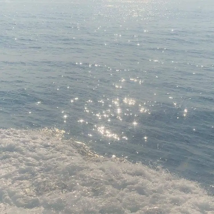 Ahdube의 우유참치