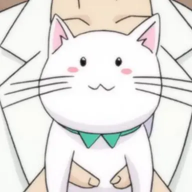 Profile image of 고양이