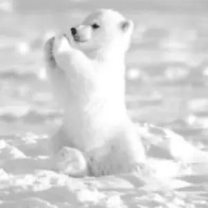 Profile image of ぼのな