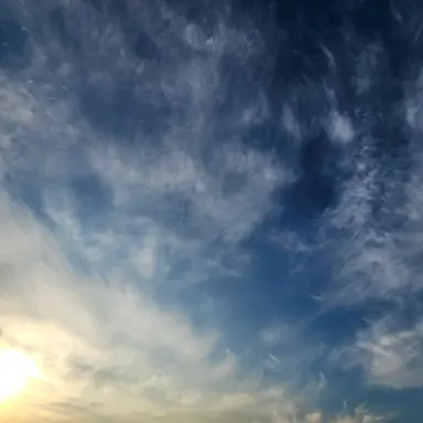 Profile image of 파이브