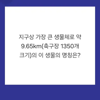 Profile image of 상태창