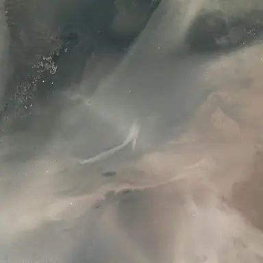 Profile image of スンミン