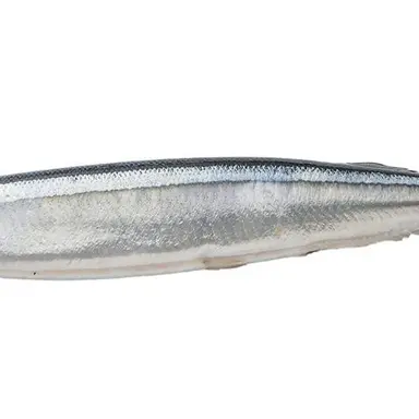 Profile image of 秋刀