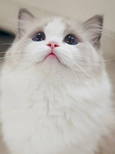 ㆍ 대표 이미지