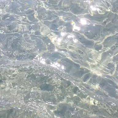 Profile image of 마레