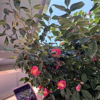 Profile image of 김 운 학