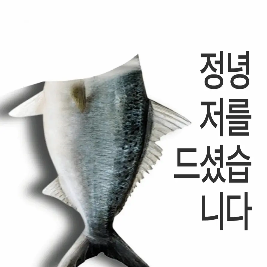 The_POPKING의 .