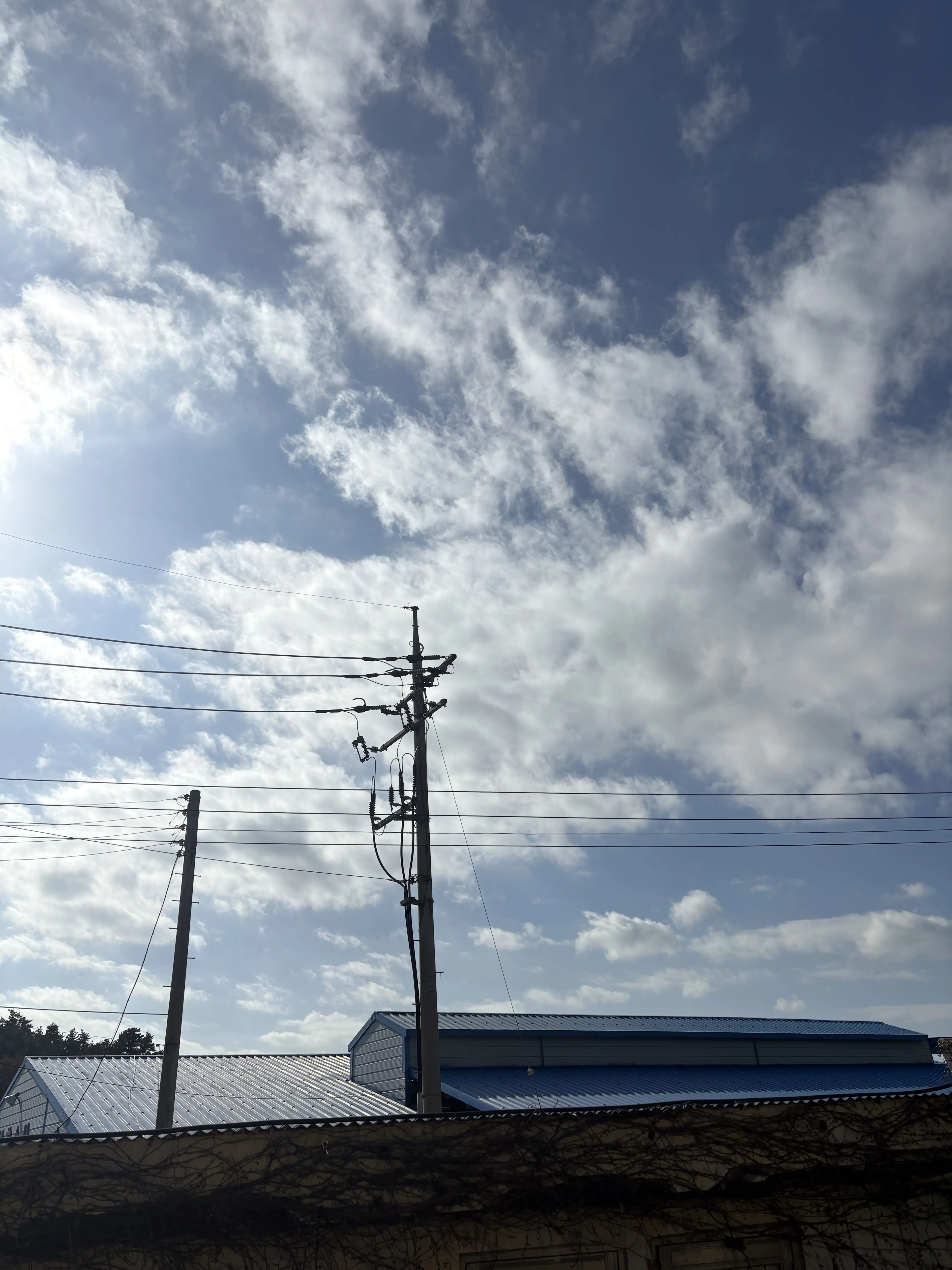 SaltyRobin4232의 대학교 MT 픽셀리,싸이코드+여우