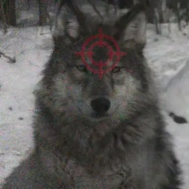 Profile image of role-playing game