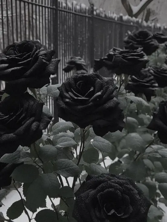 w1oyn의 ︎ ︎ ︎