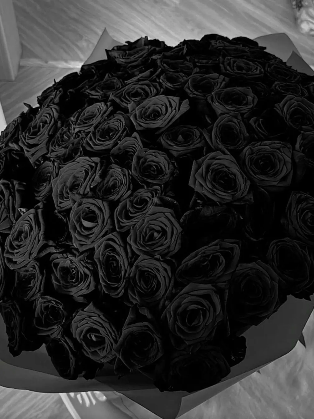 w1oyn의 ︎ ︎ ︎