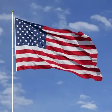 Profile image of 공룡