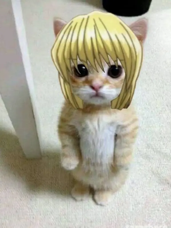 Uhhuh_0404의 크라피카