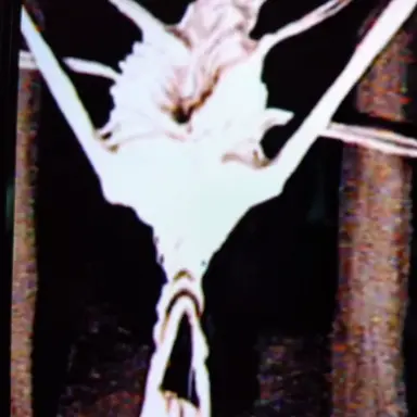 Profile image of ア・ビューティフル
