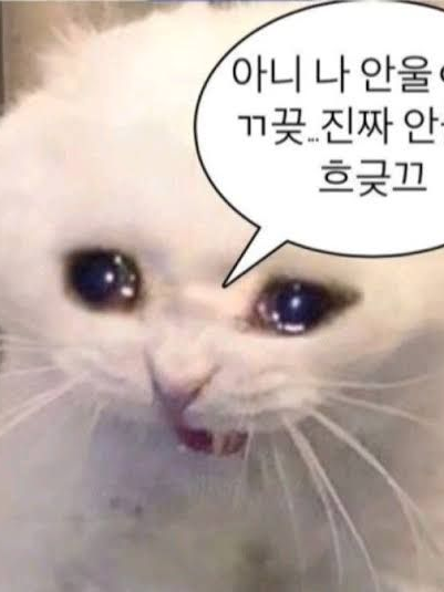 포세이큰(+여우년) 대표 이미지