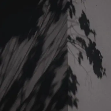 Profile image of 박서준