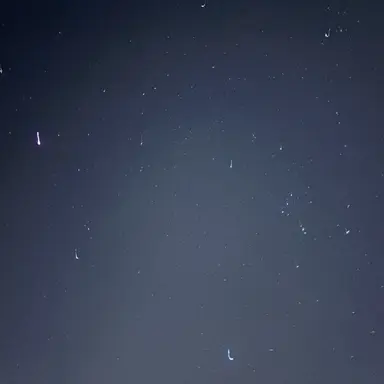 Profile image of 向井