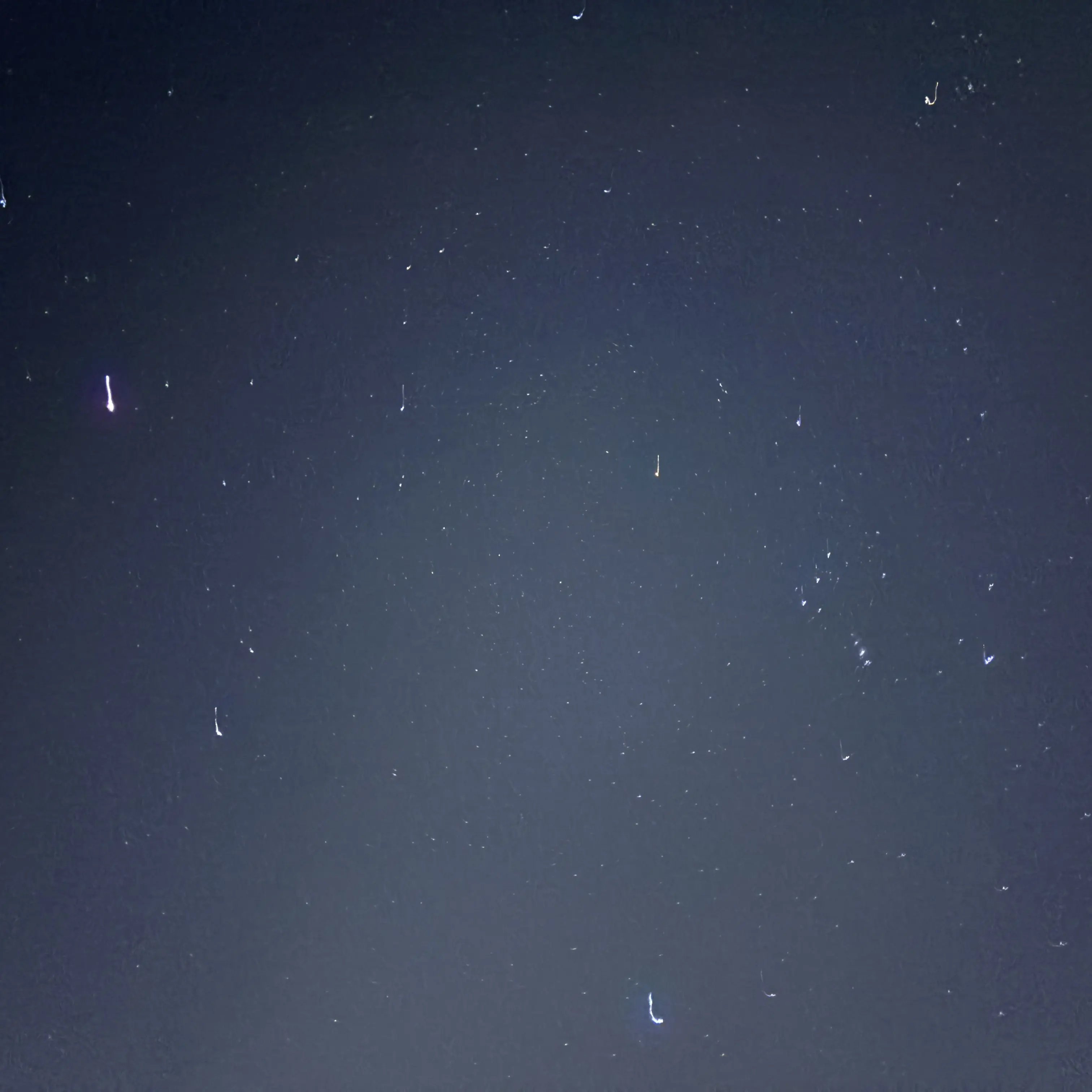 SafeSalt5952의 禁断