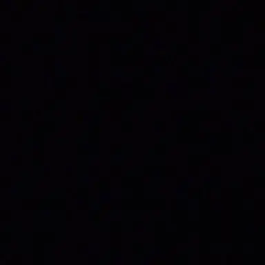 Profile image of 비앙카 바클레이