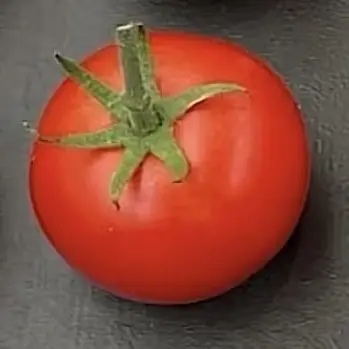 QuickHelm0398의 계약결혼