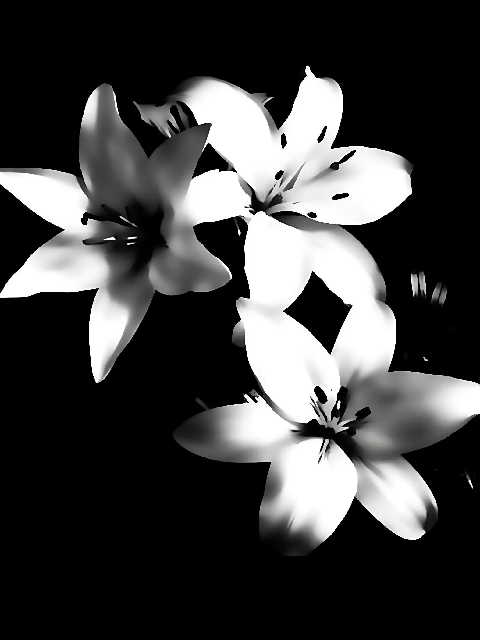 ONFYWZ의 花樣年華