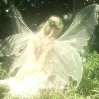 Profile image of Fairy RP