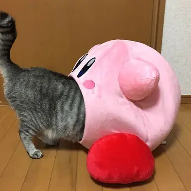 Profile image of 커비