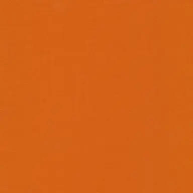 Profile image of ナランチャ