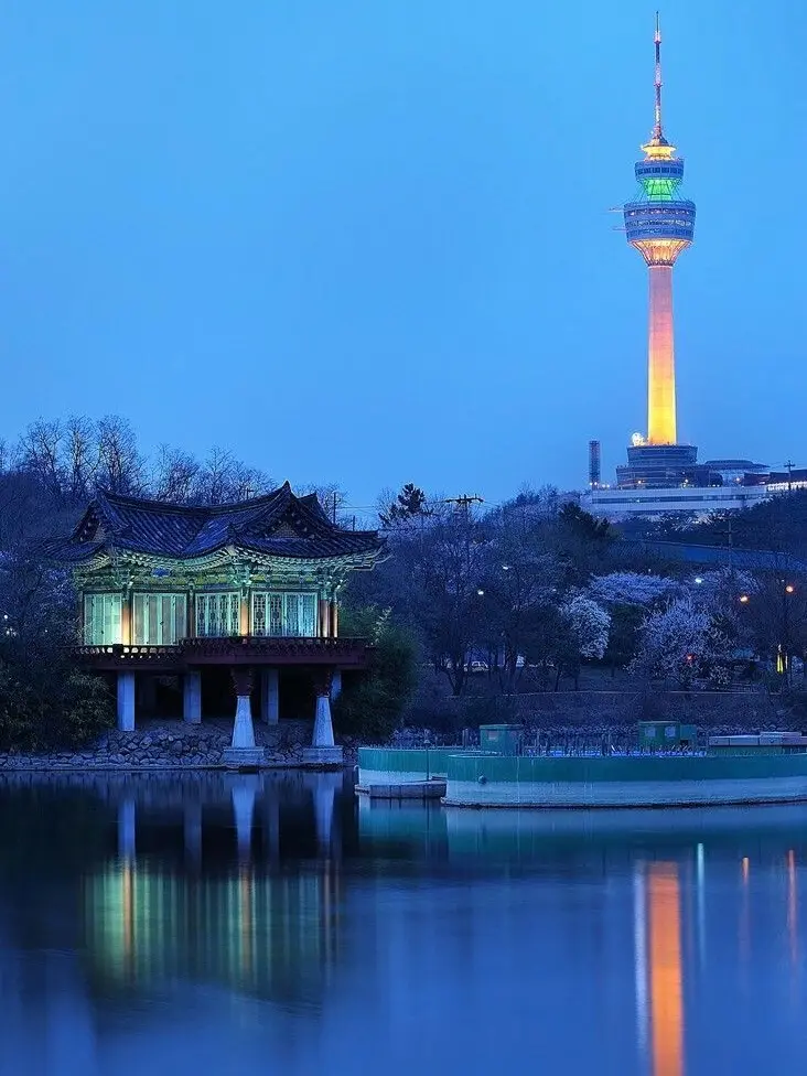 TealApe0828의 패러다이스