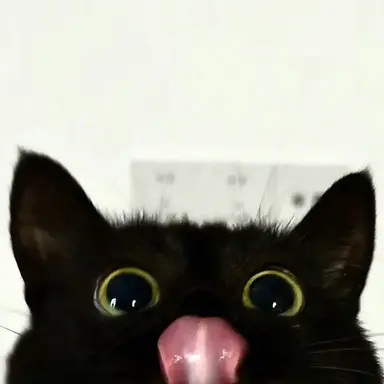 Profile image of 박원빈