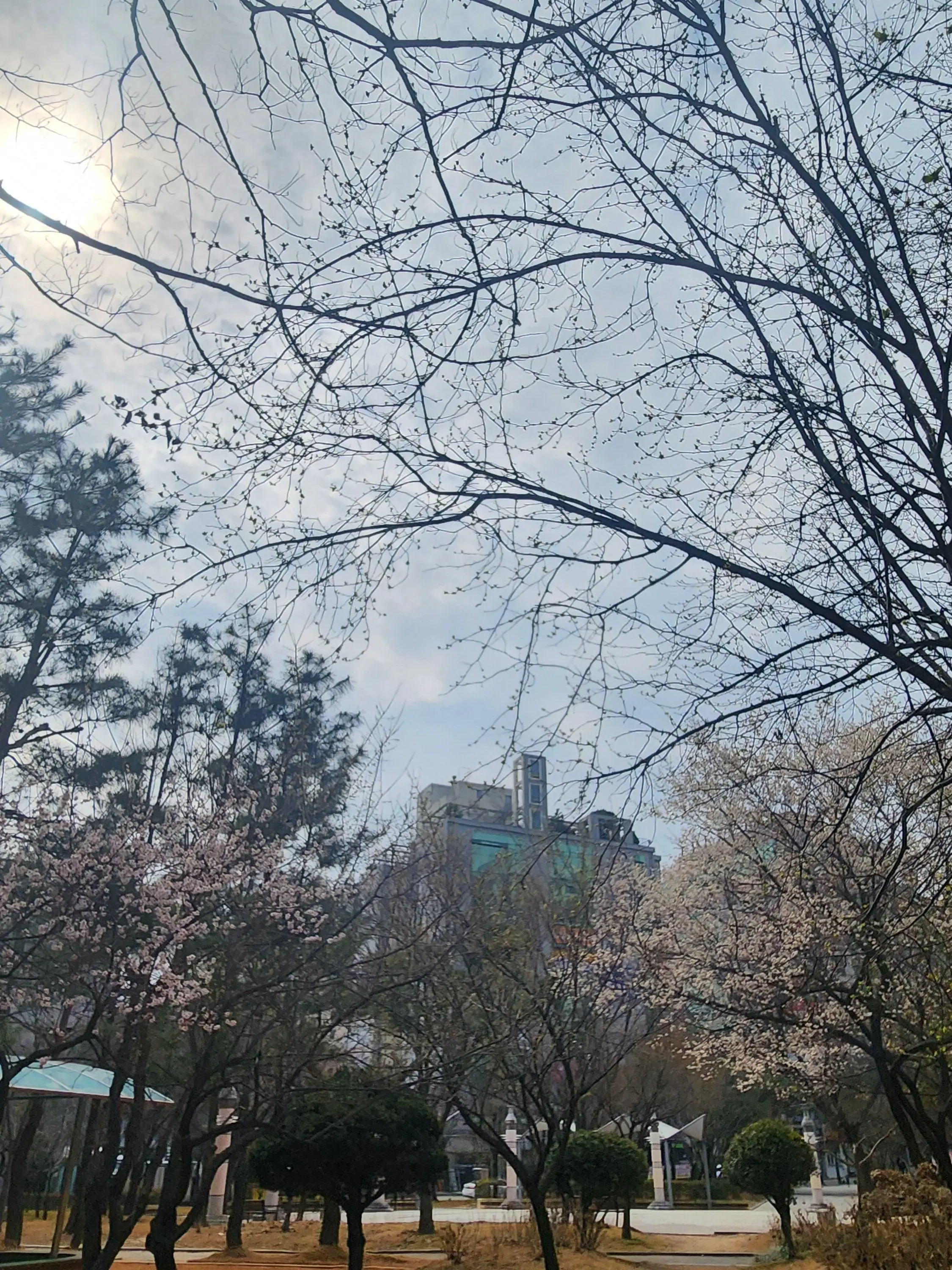 CreamLoach2522의 리레볼루션 조직물