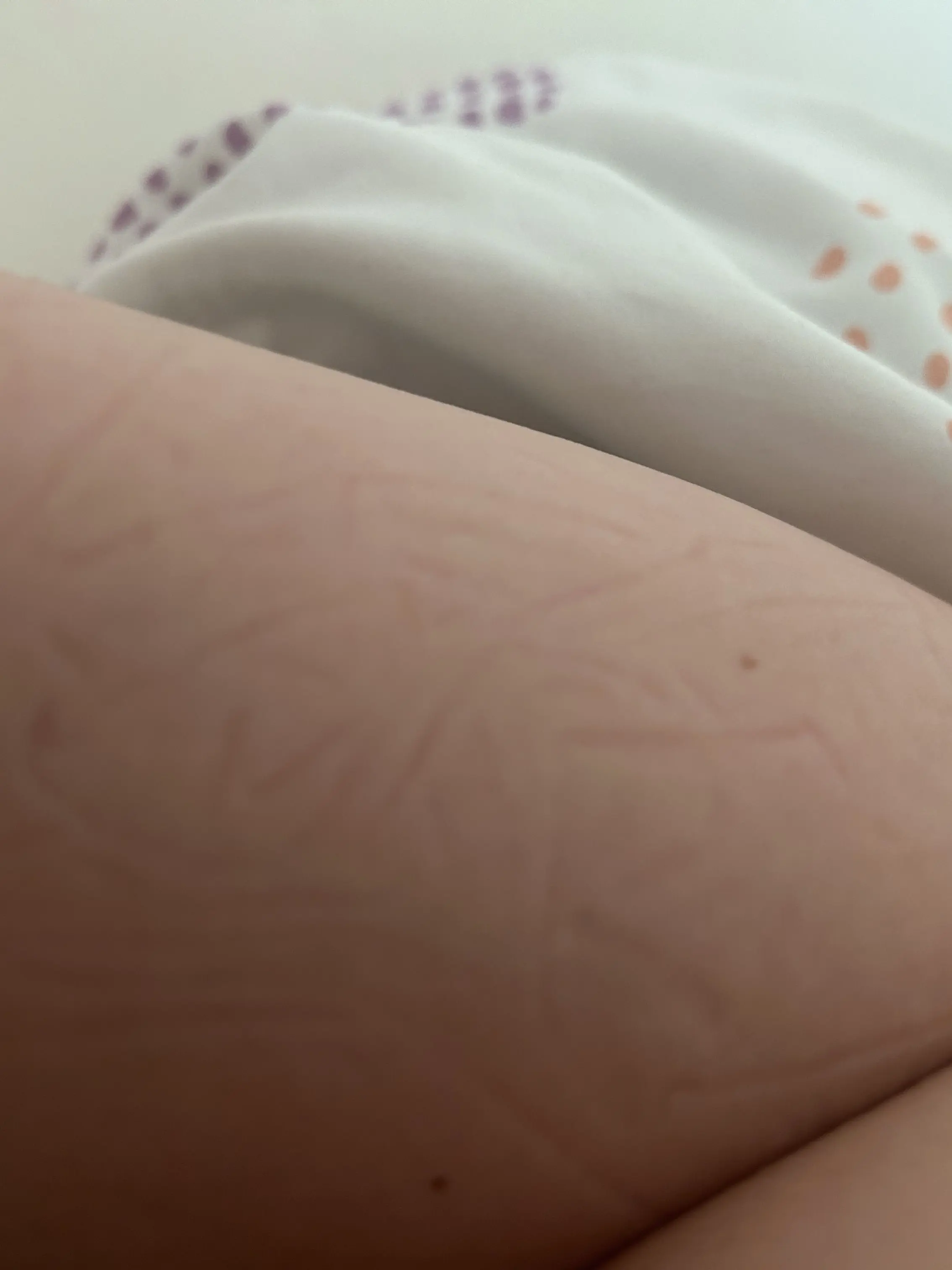 CuteLevel6480의 偉人が学校の先生⁉️