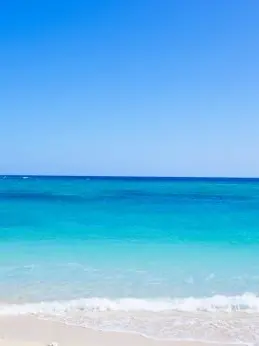 NeatTea8725의 최요원