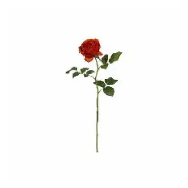 Profile image of 마성일