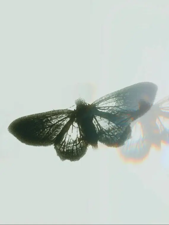 gaegsil-eun_eotteohge의 默慇